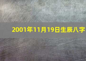 2001年11月19日生辰八字