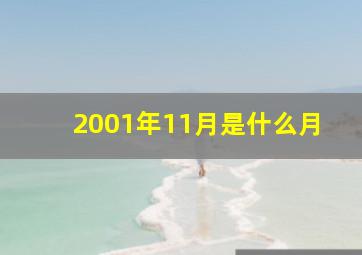 2001年11月是什么月