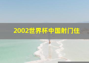 2002世界杯中国射门住