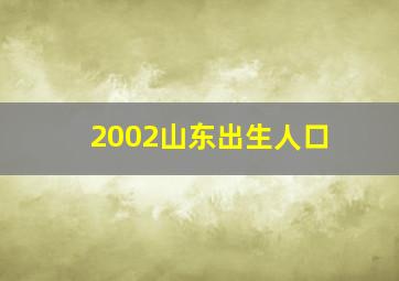 2002山东出生人口