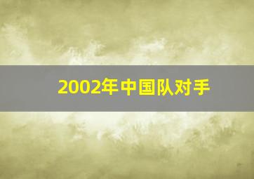 2002年中国队对手