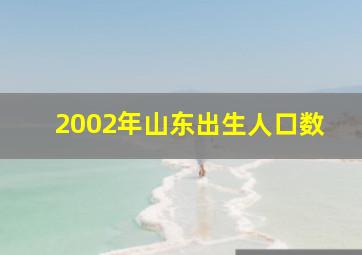 2002年山东出生人口数