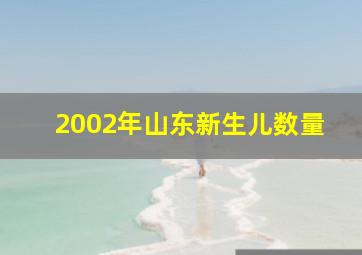 2002年山东新生儿数量