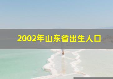 2002年山东省出生人口