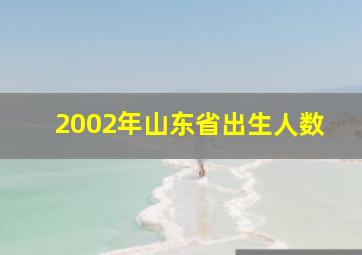 2002年山东省出生人数