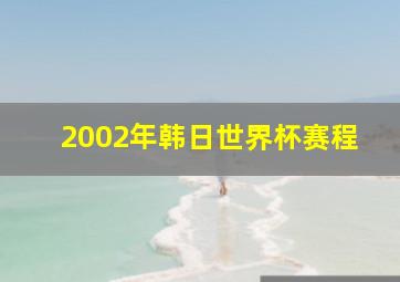 2002年韩日世界杯赛程