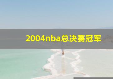 2004nba总决赛冠军