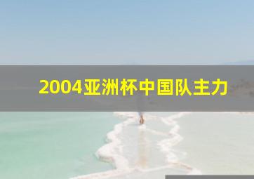 2004亚洲杯中国队主力