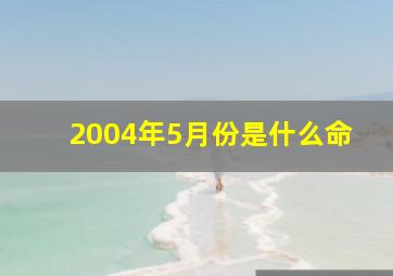 2004年5月份是什么命