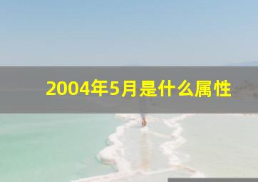 2004年5月是什么属性