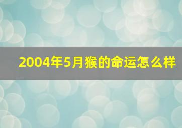 2004年5月猴的命运怎么样