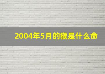 2004年5月的猴是什么命