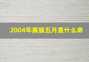 2004年属猴五月是什么命