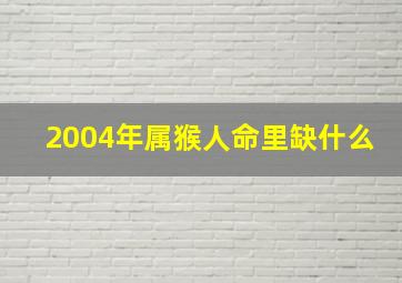 2004年属猴人命里缺什么