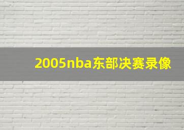 2005nba东部决赛录像