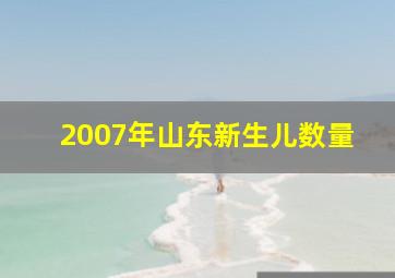 2007年山东新生儿数量