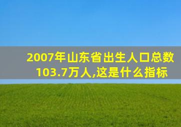 2007年山东省出生人口总数103.7万人,这是什么指标