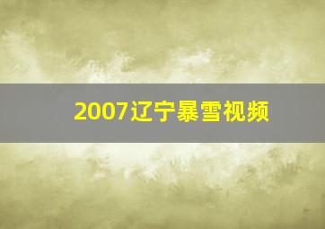 2007辽宁暴雪视频