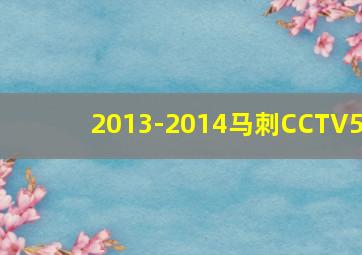 2013-2014马刺CCTV5