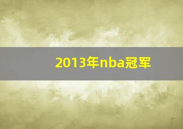 2013年nba冠军