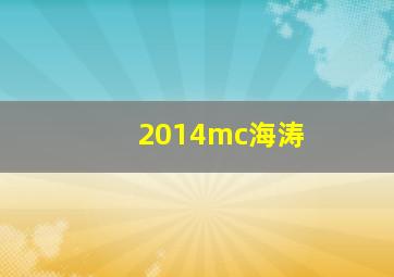 2014mc海涛