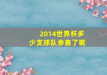 2014世界杯多少支球队参赛了呢