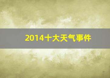 2014十大天气事件