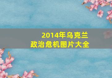 2014年乌克兰政治危机图片大全