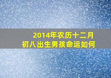 2014年农历十二月初八出生男孩命运如何