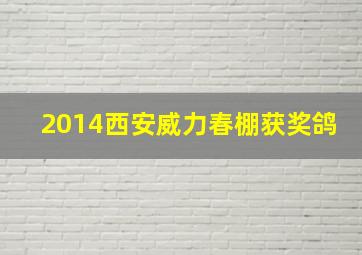 2014西安威力春棚获奖鸽