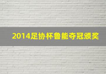 2014足协杯鲁能夺冠颁奖