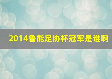 2014鲁能足协杯冠军是谁啊