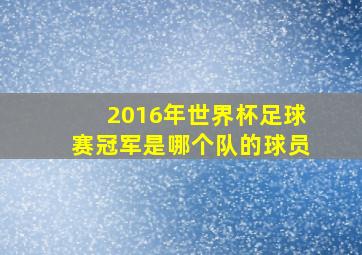 2016年世界杯足球赛冠军是哪个队的球员