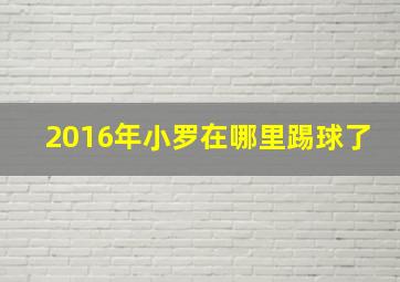 2016年小罗在哪里踢球了