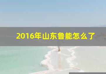 2016年山东鲁能怎么了