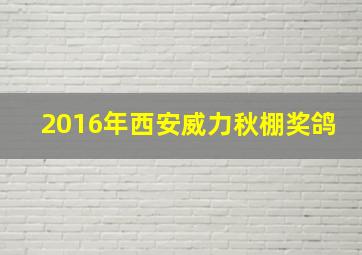 2016年西安威力秋棚奖鸽