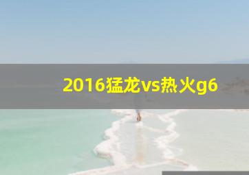 2016猛龙vs热火g6