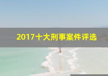 2017十大刑事案件评选