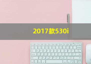 2017款530i