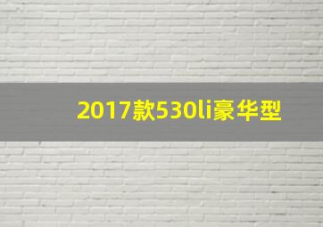 2017款530li豪华型