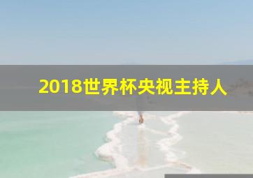 2018世界杯央视主持人