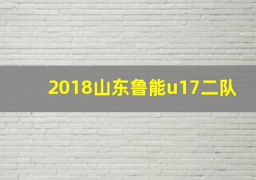 2018山东鲁能u17二队