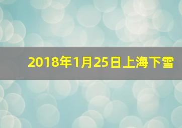 2018年1月25日上海下雪