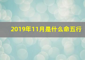 2019年11月是什么命五行