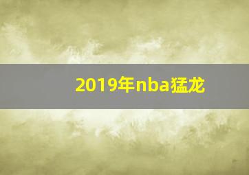 2019年nba猛龙