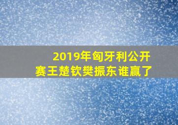 2019年匈牙利公开赛王楚钦樊振东谁赢了