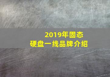 2019年固态硬盘一线品牌介绍