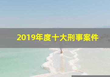 2019年度十大刑事案件