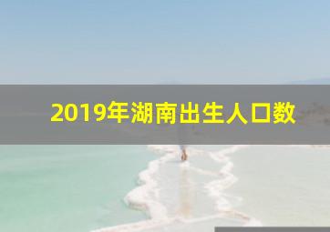 2019年湖南出生人口数