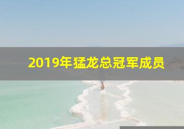 2019年猛龙总冠军成员